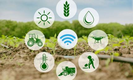 Smart Farming- IoT Applications in Agriculture